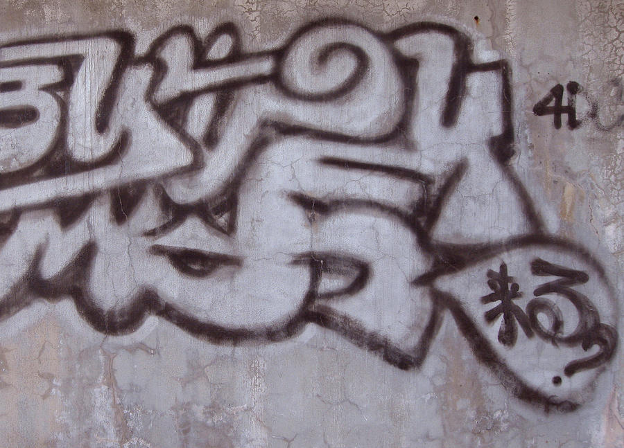 Japanese Graffiti Photograph By Nancy Haskins