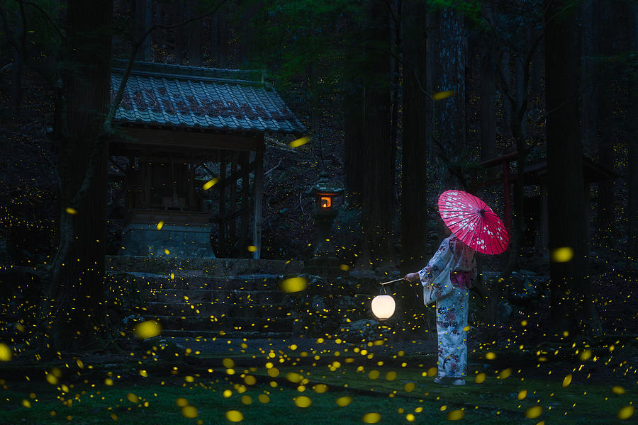 Kimono Photograph - Japanese Kimono And Sea Of Fireflies #1 by Vu Van Quan