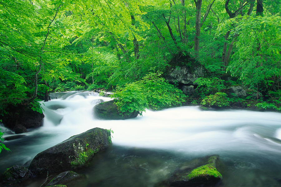 Japanese Mountain Stream Photograph by Ooyoo - Fine Art America