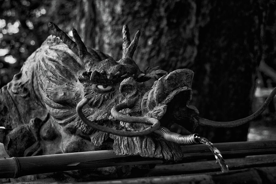 Japanese Water Fountain Dragon #1 Photograph by Jeremy Voisey