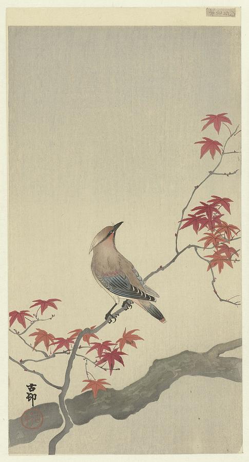 Japanese Waxwing On Maple Painting by Ohara Koson Japanese Waxwing On Maple Painting by Ohara Koson