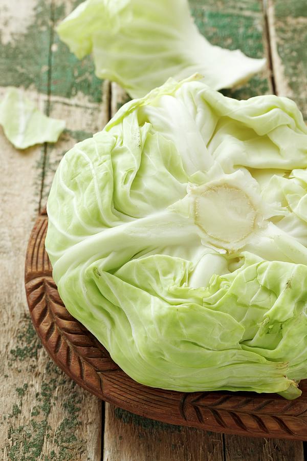 Jaroma White Cabbage #1 Photograph by Petr Gross