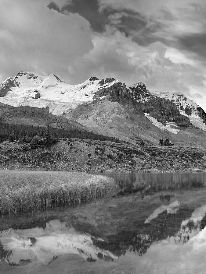 Jasper National Park Alberta #1 Photograph by Tim Fitzharris