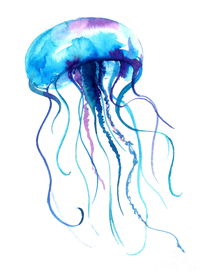 Jellyfish Drawing Color : Jellyfish Psychedelic Blacklight Quallen Neon ...