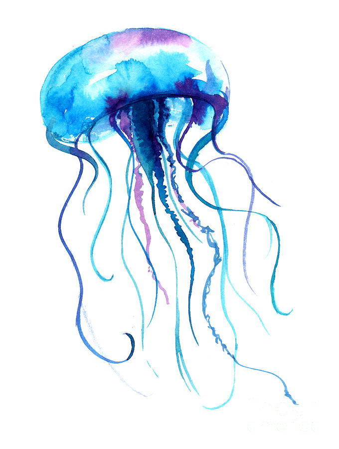 Jellyfish Watercolor Illustration Digital Art by Anna Kutukova Fine