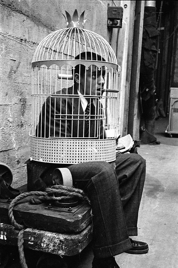 Celebrity Photograph - Jerry Lewis In A Cage #1 by Allan Grant