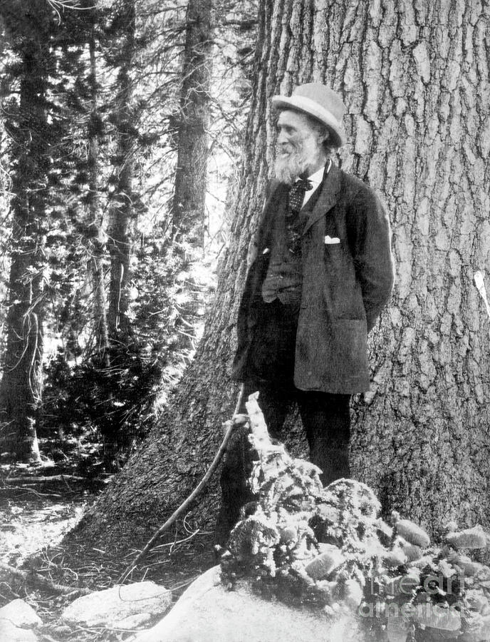 John Muir #1 Photograph by Library Of Congress/science Photo Library