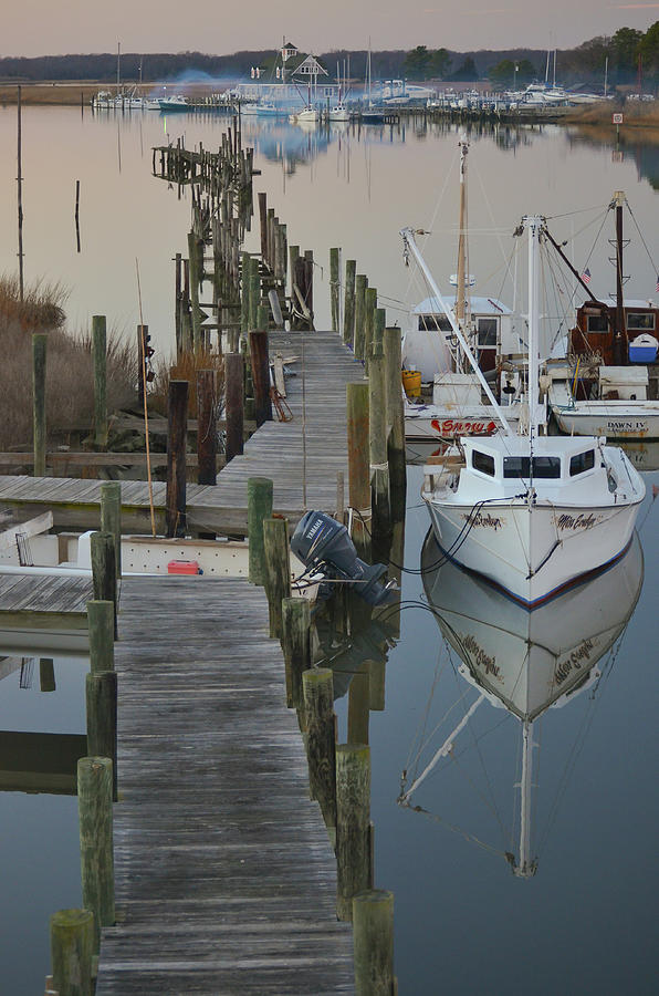 Jones Creek Photograph by Mike O'Shell