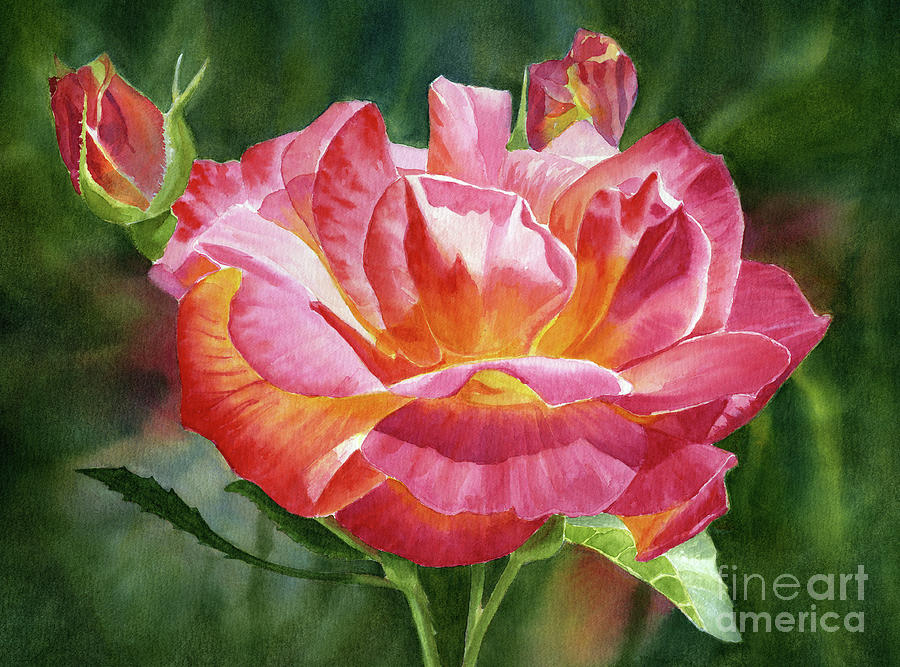 Josephs Coat Rose with Buds #1 Painting by Sharon Freeman