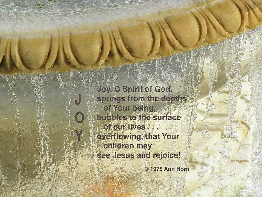 Joy #1 Photograph by Ann Horn