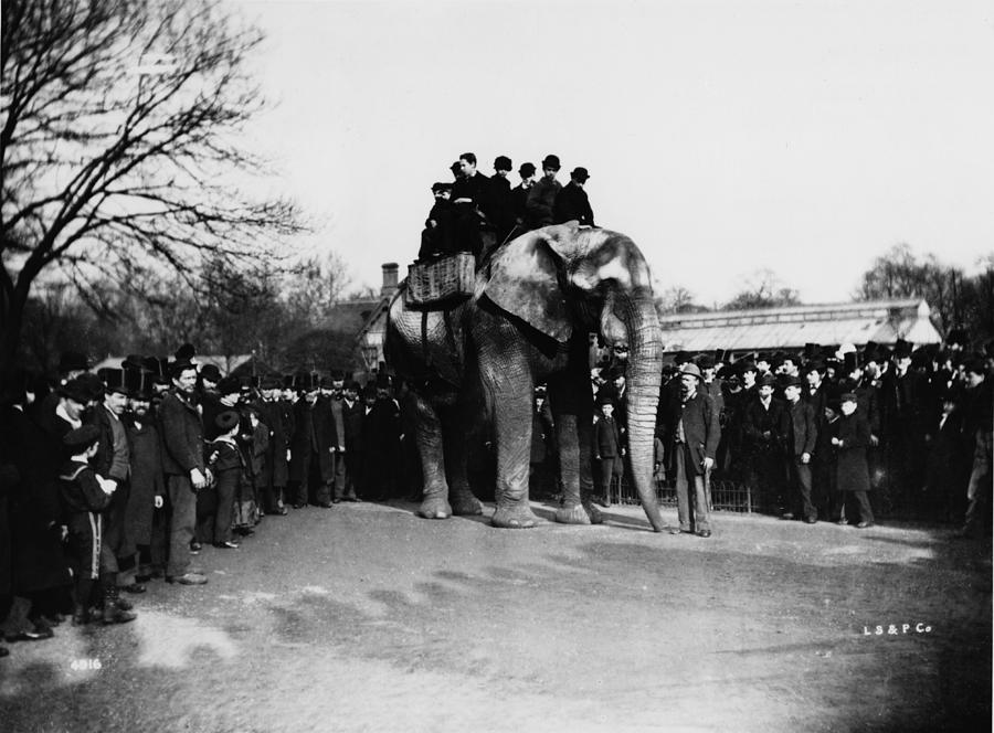 Jumbo Ride #1 Photograph by London Stereoscopic Company