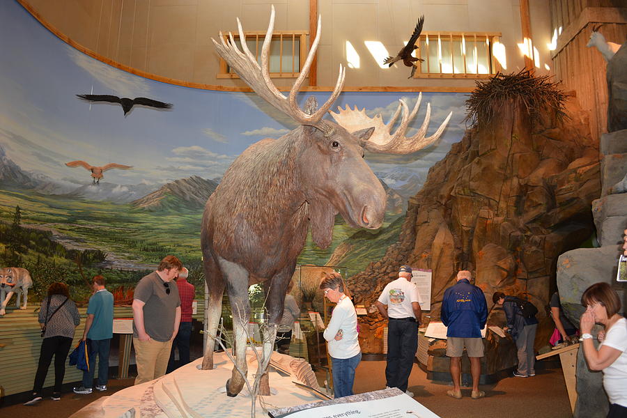 Juneau visitor center Photograph by Joe Smiga | Pixels