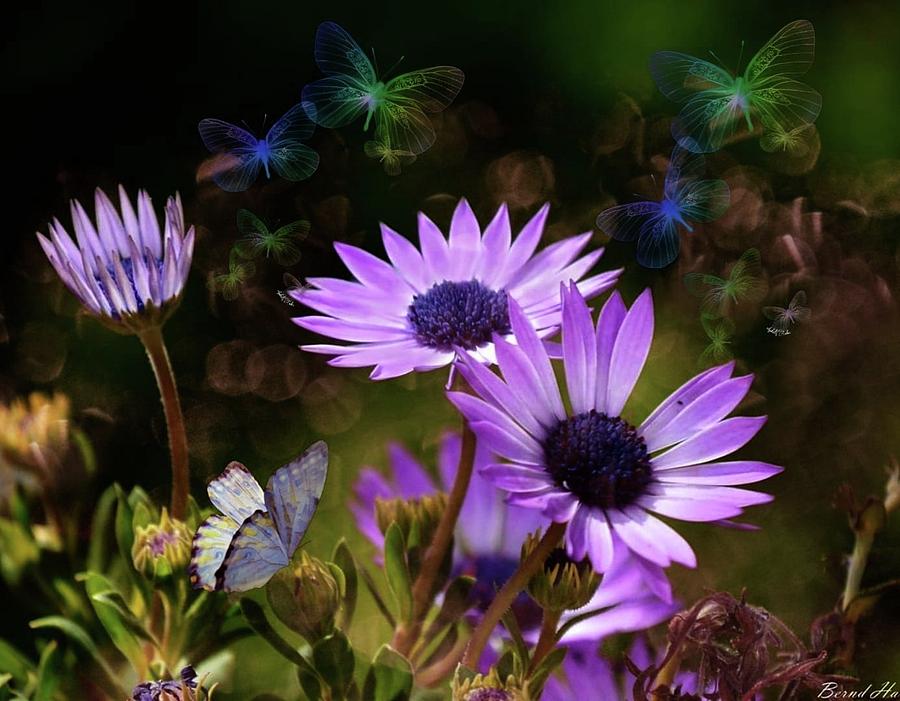 Just a fantasy by Bernd Hau Just a fantasy by Bernd Hau