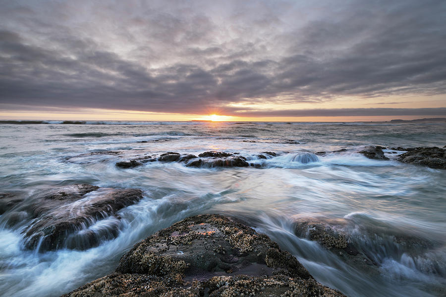 Kalaloch Beach 4 At Sunset, Olympic Photograph by Alan Majchrowicz ...