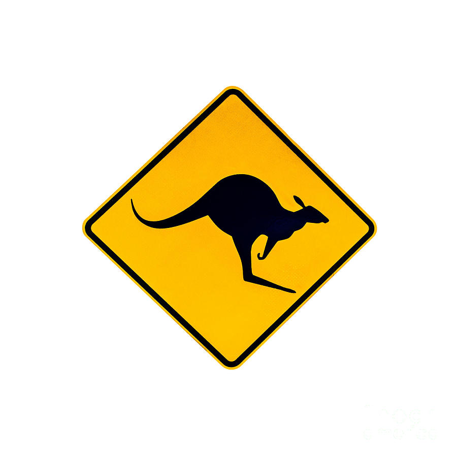 Kangaroo Warning Sign #1 Photograph by Benny Marty