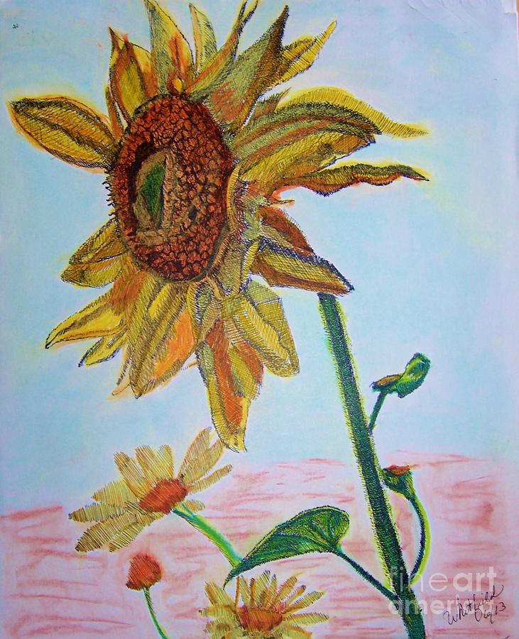 Sunflower Painting - Kansas Flower #1 by Ann Whitfield