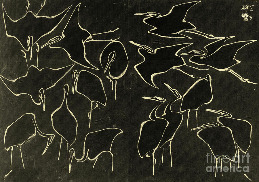 Katsushika Hokusai, Egrets from quick lessons in simplified drawing