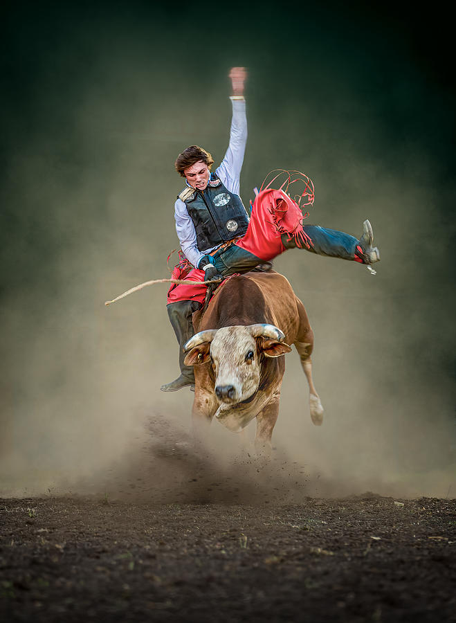Bull Photograph - Keeping Balance #1 by Frank Ma