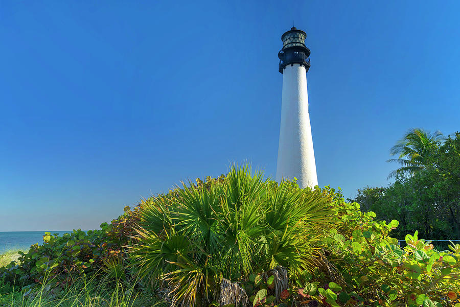 Key Biscayne Lighthouse In Florida #1 Digital Art by Laura Zeid