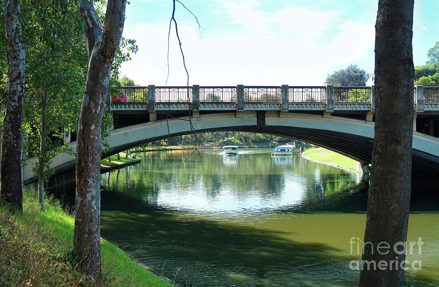King William Road Bridge, Adelaide, South Australia. #1 Photograph by Milleflore Images