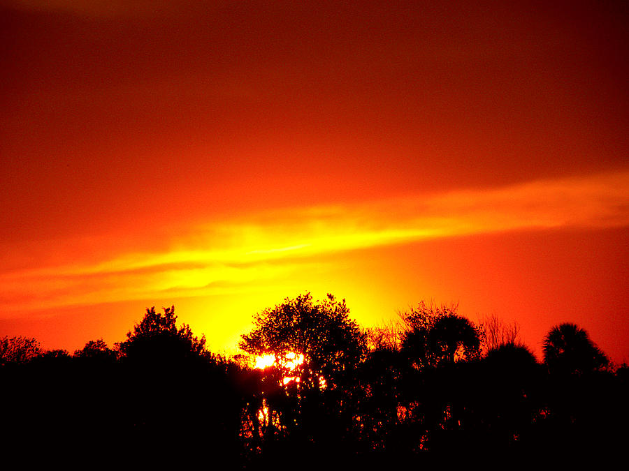 Kissimme Prairie Sunset  #1 Photograph by Christopher Mercer
