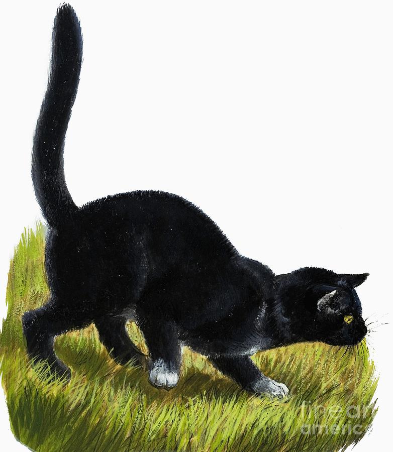 Kitten Painting by English School