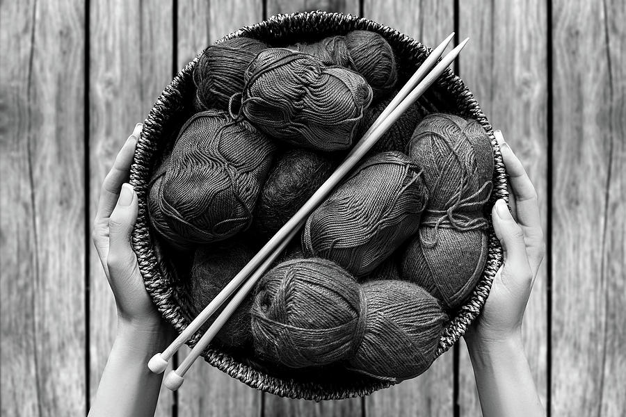 Knitting Yard by Mad Artist Knitting Yard by Mad Artist