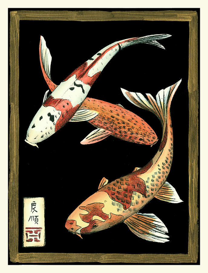 Fish Painting - Koi Fish On Black I #1 by Chariklia Zarris