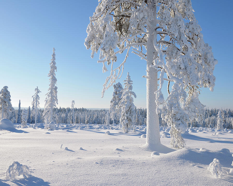 Kuusamo, Northern Ostrobothnia, Oulu by Raimund Linke