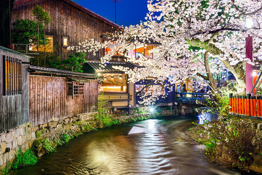 Landscape Photograph - Kyoto, Japan At The Shirakawa River #1 by Sean Pavone