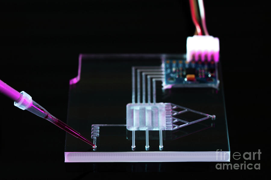 Lab On A Chip #1 Photograph by Wladimir Bulgar/science Photo Library