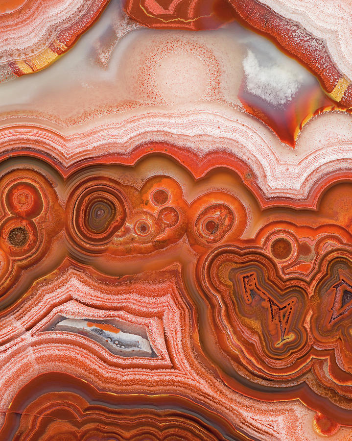 Lace Agate, Macro #1 Photograph by Mark Windom
