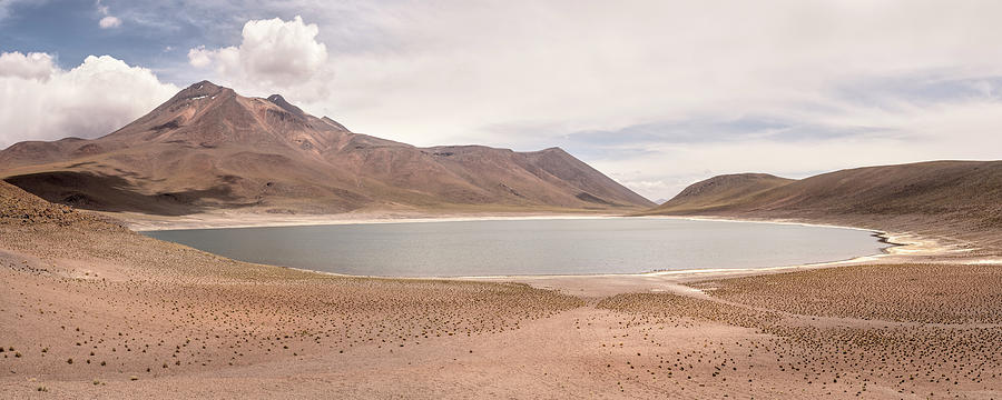 Laguna Miscanti And Miiques, "altiplano" Plateau, Atacama Desert, Antofagasta Region, Chile, South America #1 Photograph by Gnther Bayerl