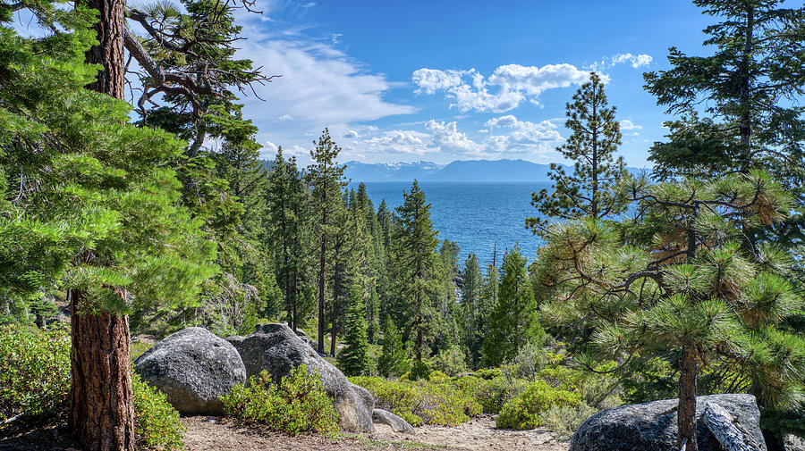 Lake Tahoe Views  #1 Photograph by Anthony Giammarino