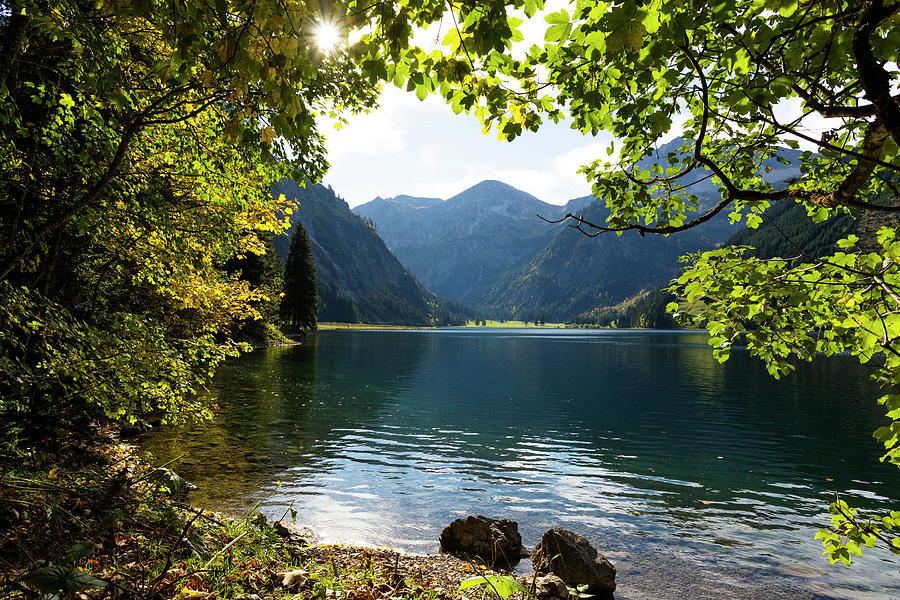 Lake Vilsalpsee In Fall, Tannheim Valley, Alps, Austria, Europe #1 Photograph by Konrad Wothe