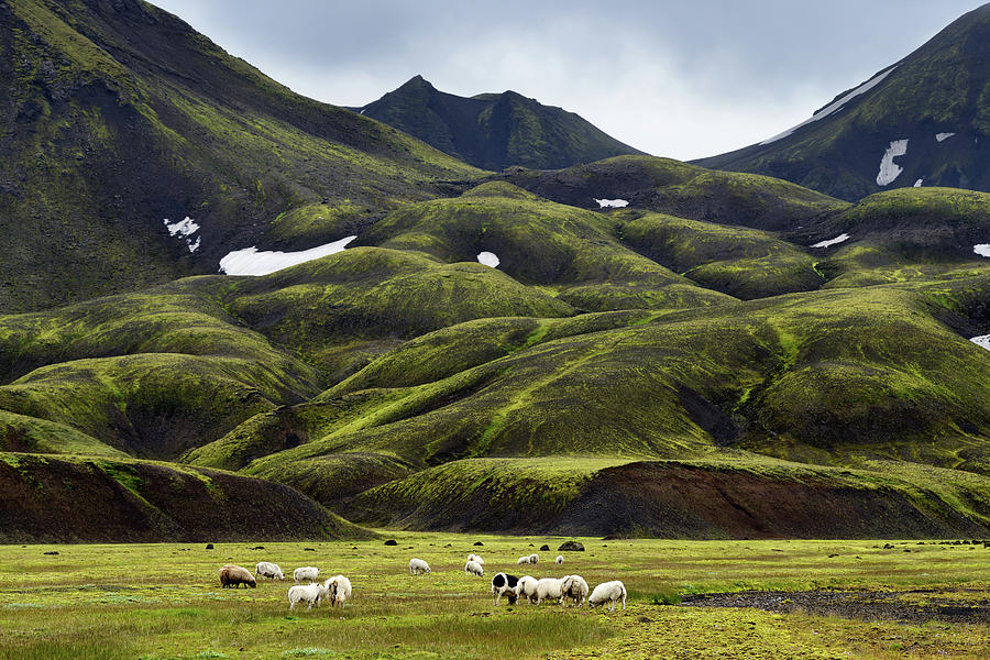 Landmannalaugar, Highlands Of Iceland #1 Photograph by Yevgen Timashov