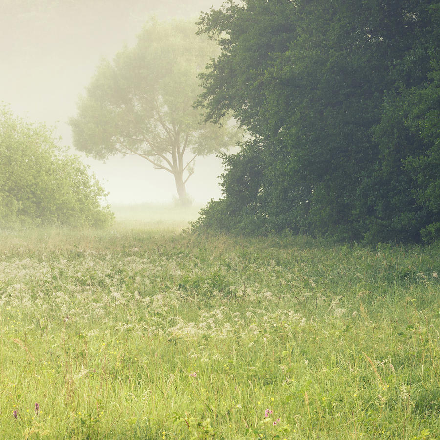 Landscape Photograph - Landscape In Fog by Toby Luxberg Landscape Photograph - Landscape In Fog by Toby Luxberg