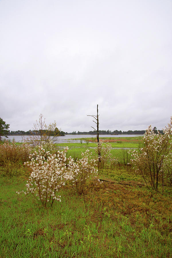 Landscape Photograph