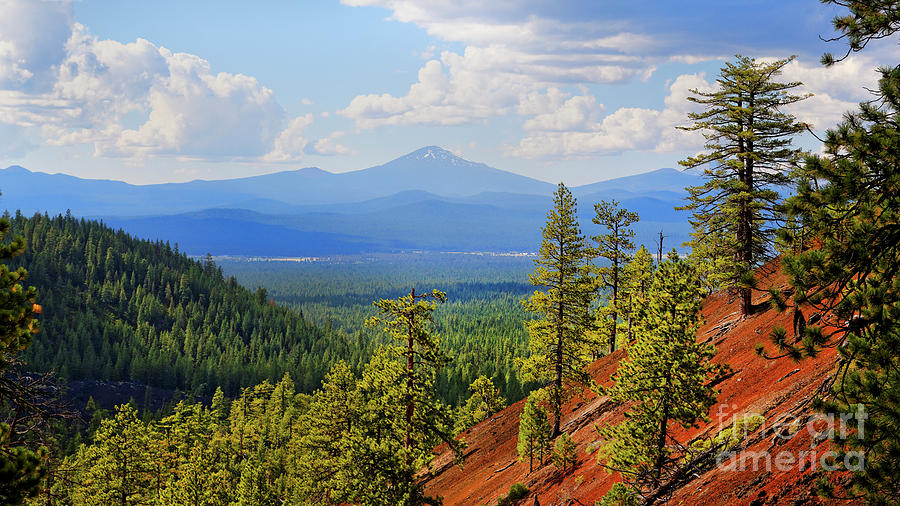 A Landscape view red cinder Jane Butte to distant Mount Bachelor across valley of conifer forests Photograph by Robert C Paulson Jr