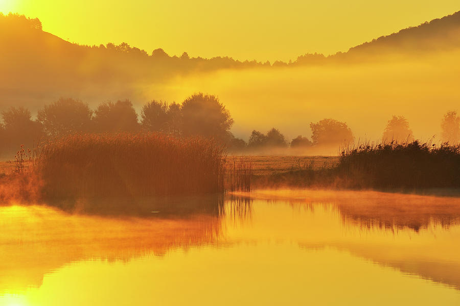 Landscape With Morning Mist #1 Photograph by Raimund Linke