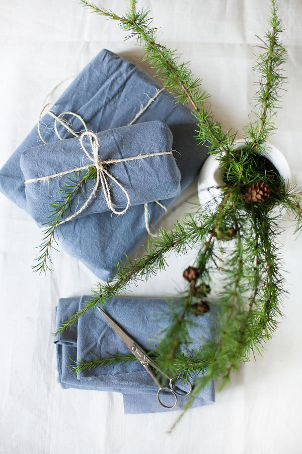 Larch Twigs In White Jug And Gifts Wrapped In Blue Fabric #1 Photograph by Alicja Koll