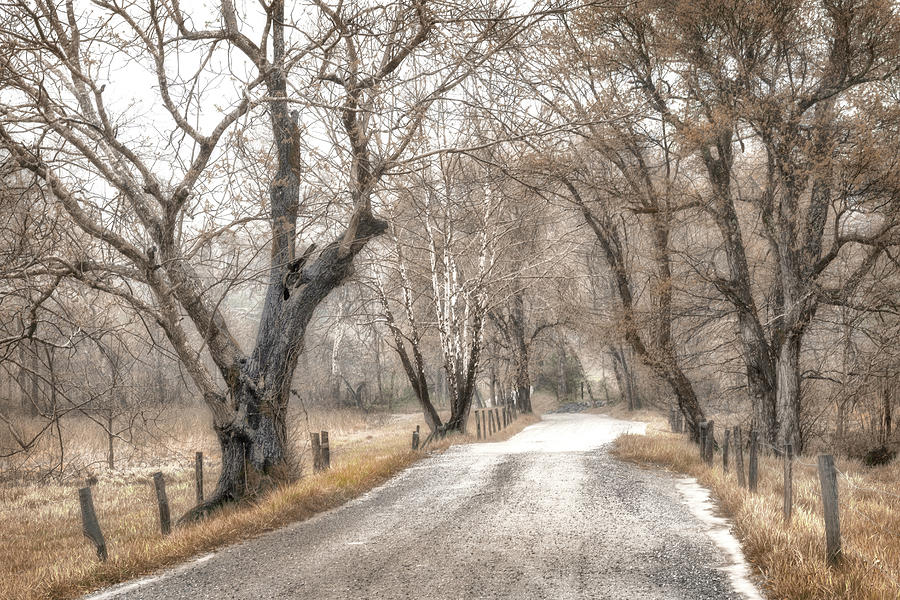 Late Afternoon Walk Photograph by Andy Amos - Fine Art America