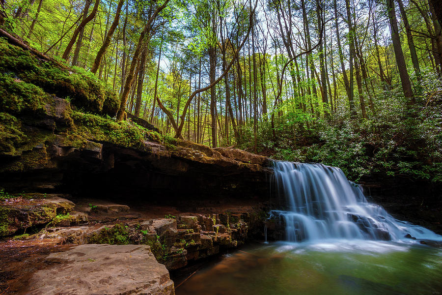 Laurel Run Waterfalls in Tennessee by Dee Browning Laurel Run Waterfalls in Tennessee by Dee Browning