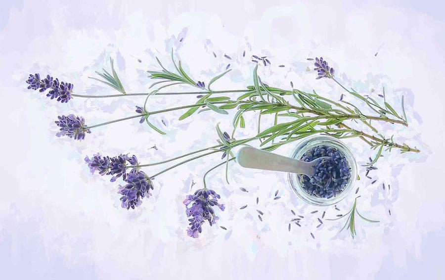 Still Life Photograph - Lavender #1 by Fangping Zhou