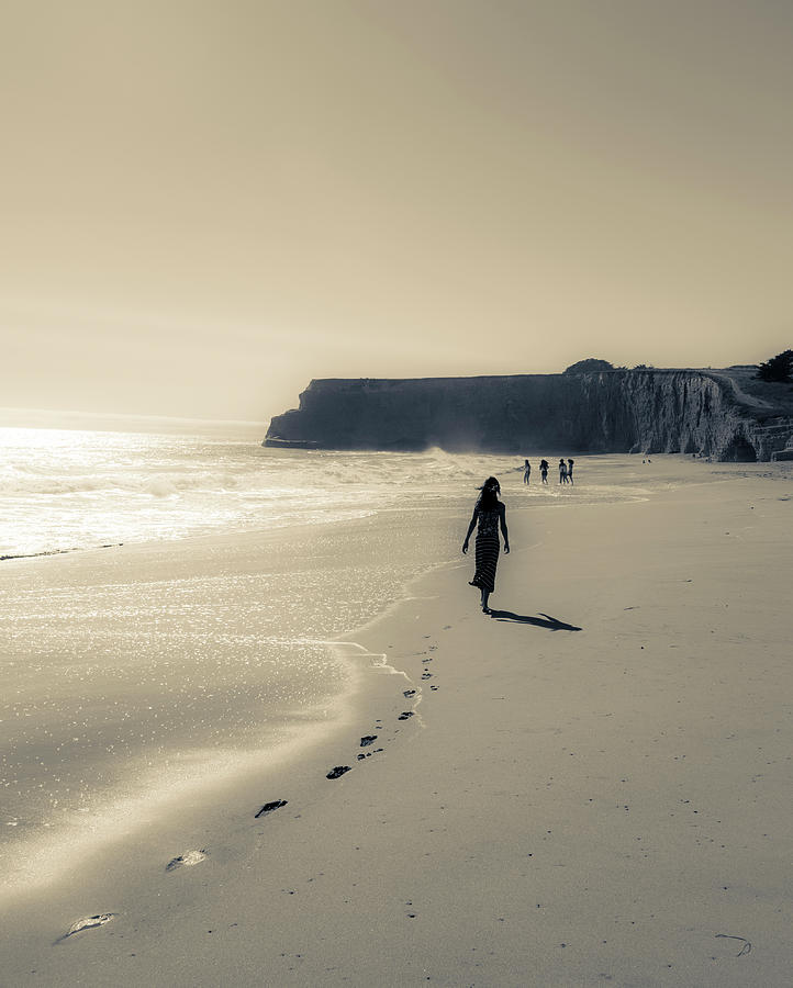 Nature Photograph - Leave Nothing but Footprints #1 by Alex Lapidus