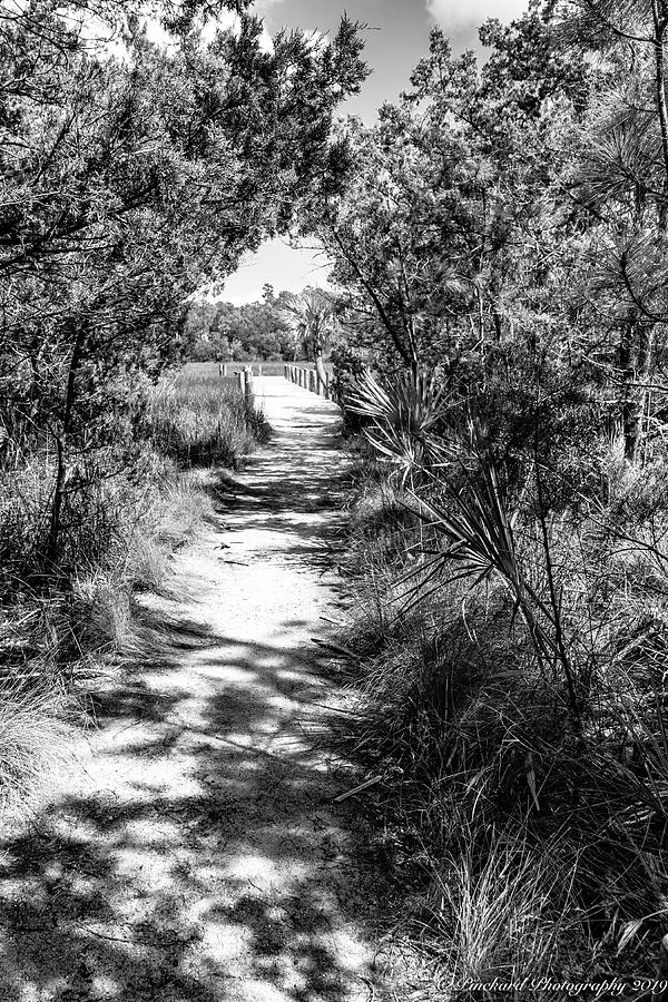 Leaving Nature Island back to the main park area on wide boardwa by Timothy Pinckard Leaving Nature Island back to the main park area on wide boardwa by Timothy Pinckard