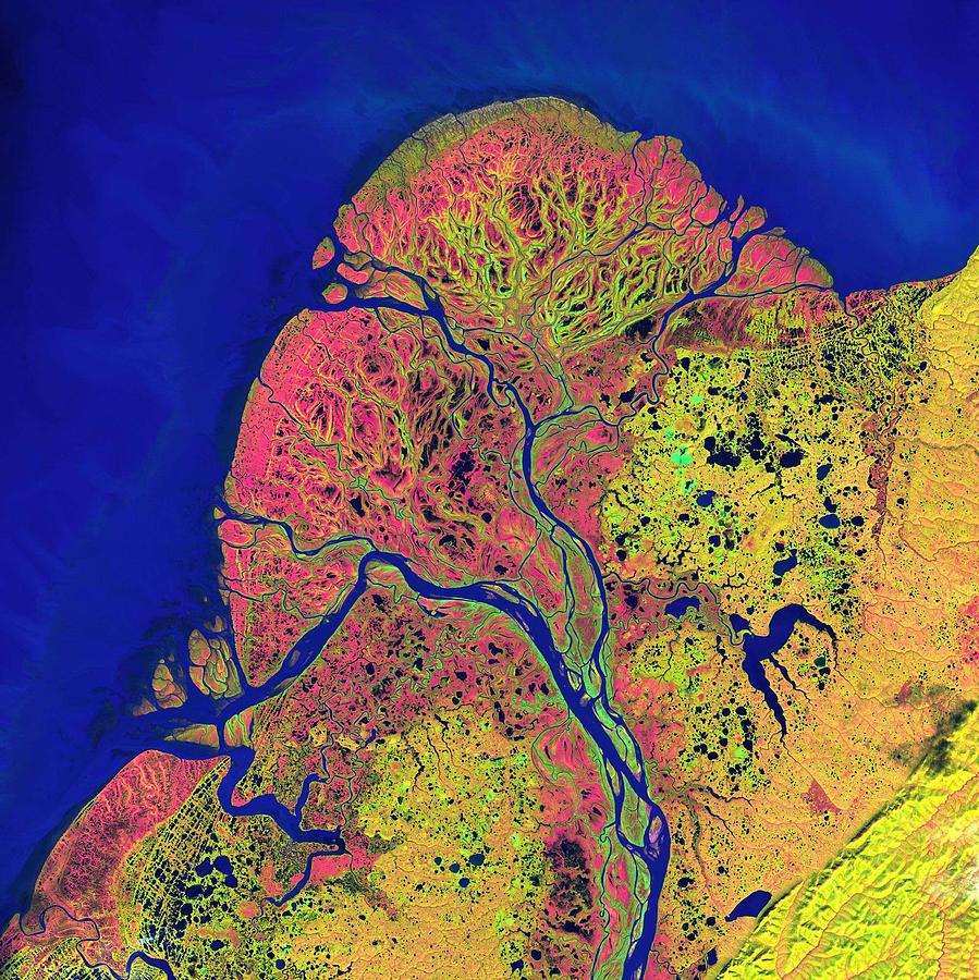 Lena River Delta nasa 2 #1 Painting by Celestial Images