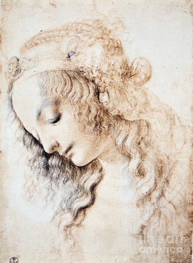 Leonardo Da Vinci Drawing by Leonardo Da Vinci Fine Art America