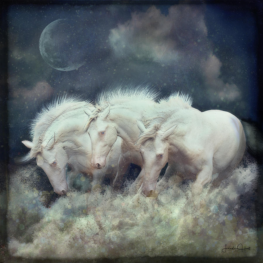Horse Digital Art - Les Trois #1 by Linda Lee Hall