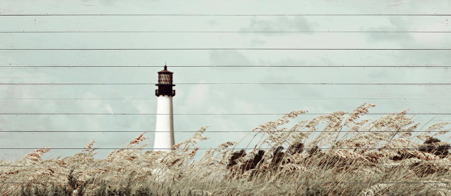 Lighthouse Photograph - Let The Winds Blow #1 by Gail Peck